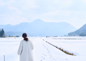 雪解け、春がきますね。