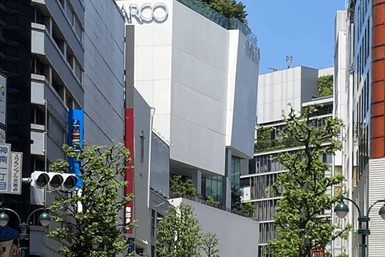 渋谷 公園通り 西武は1970年代から渋谷を一体的に開発した。西武渋谷店、ロフト、無印良品、パルコなど旧セゾングループが軒を連ねる