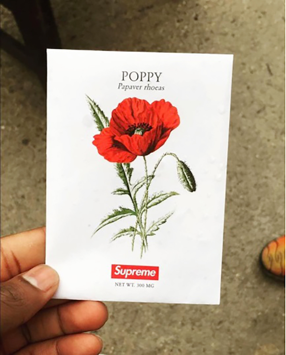 Supreme 2018 SS ポピーの種