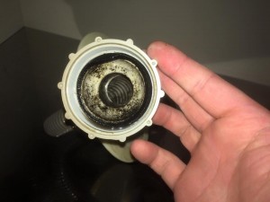 12369037_931580956889343_6136940123162268392_n