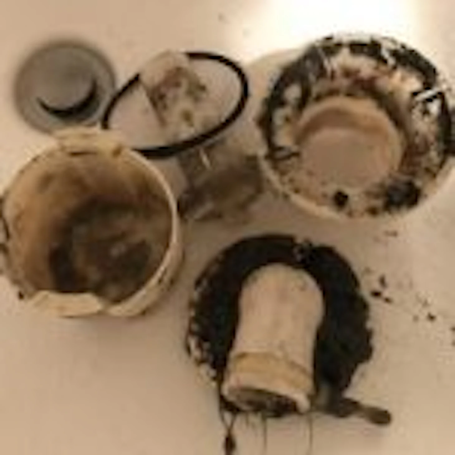 【プロが解説】洗濯機排水ホースの水漏れ原因5つと修理費用相場!掃除・DIY交換手順から階下漏水対策まで徹底ガイド