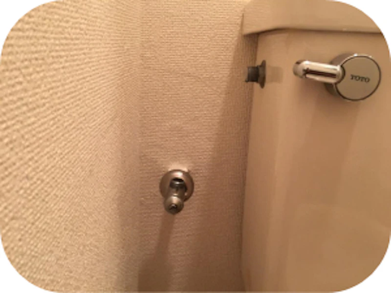 主婦でも出来る！手軽に便座を交換する方法
