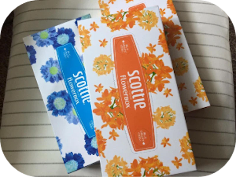 知っておきたい!トイレのつまり原因