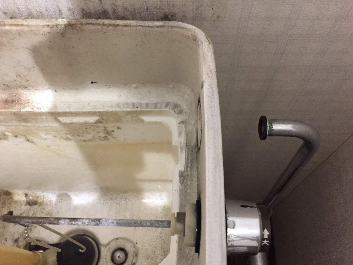 【2026年最新】トイレの水漏れ修理費用はいくら？原因別の料金相場をプロが徹底解説