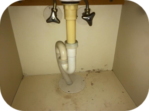 洗面所の排水溝掃除の仕方