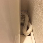 渋谷区にて洗濯機の取り付け依頼を頂きました。