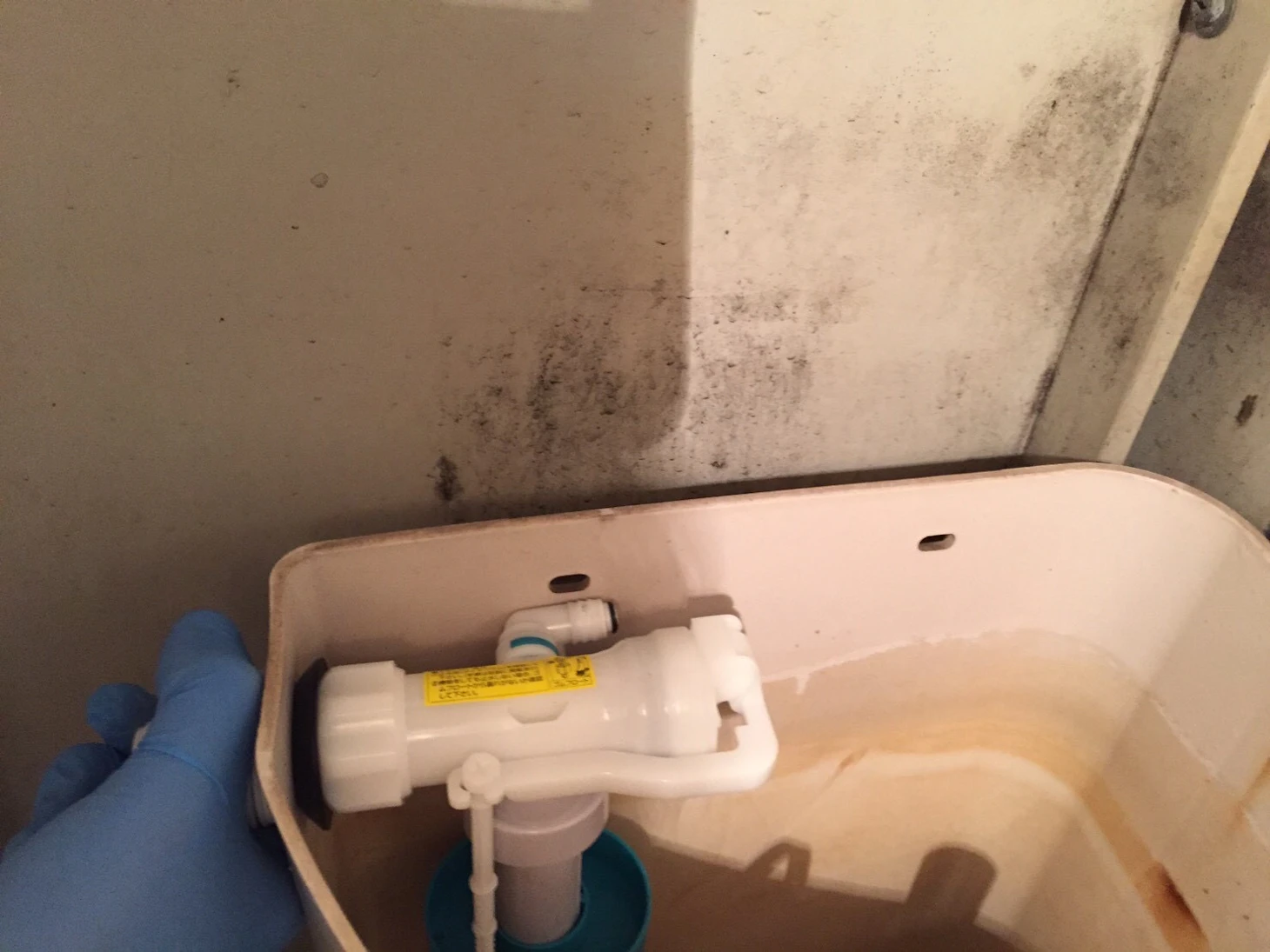 トイレタンクから水が止まらない！ボールタップ・フロートバルブ故障の可能性とは？原因と修理費用を解説