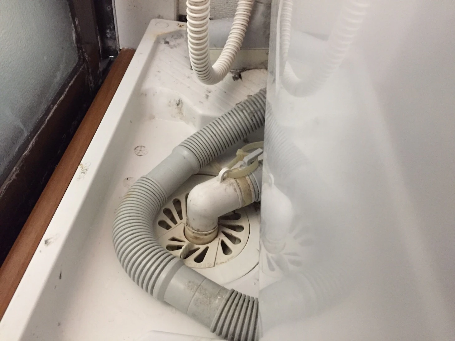 【完全版】洗濯機排水口掃除は業者に頼むべき？費用相場・高圧洗浄の仕組み・悪質業者の見分け方を徹底解説