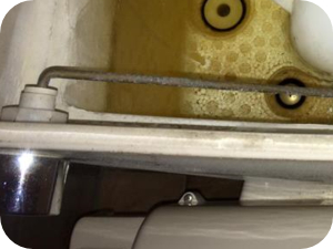 トイレタンクの構造と水が流れる仕組み