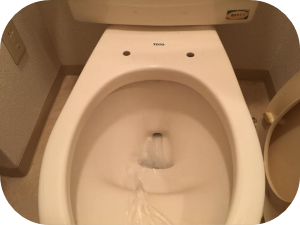 主婦でも出来る！手軽に便座を交換する方法