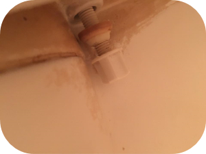 主婦でも出来る！手軽に便座を交換する方法