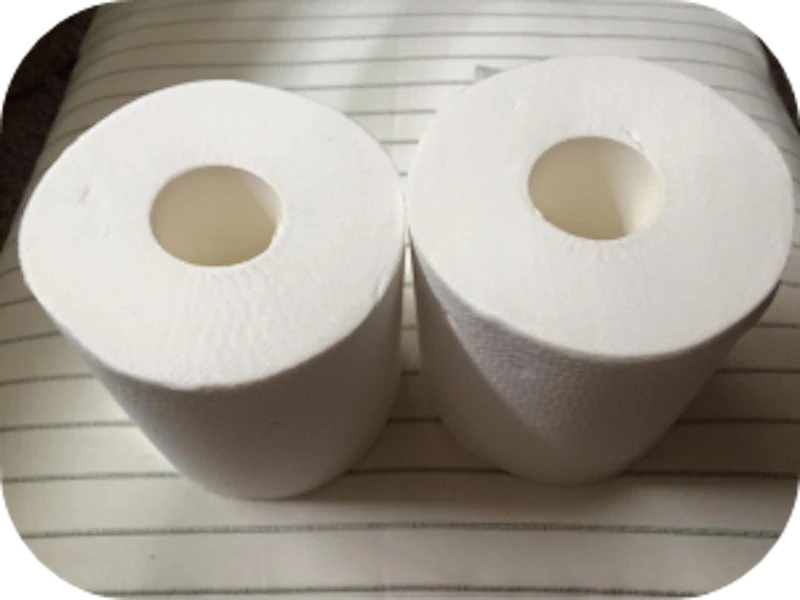 知っておきたい!トイレのつまり原因