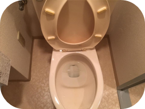 覚えておきたい！トイレ便座の外し方