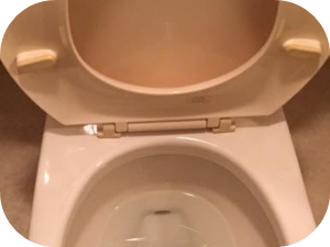 覚えておきたい！トイレ便座の外し方