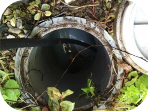 洗濯機の排水口から来る臭いの原因とその対処法