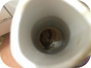 洗濯機の排水ホースを交換する方法