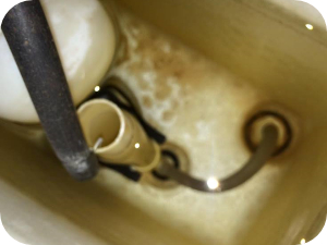 トイレタンクの構造と水が流れる仕組み