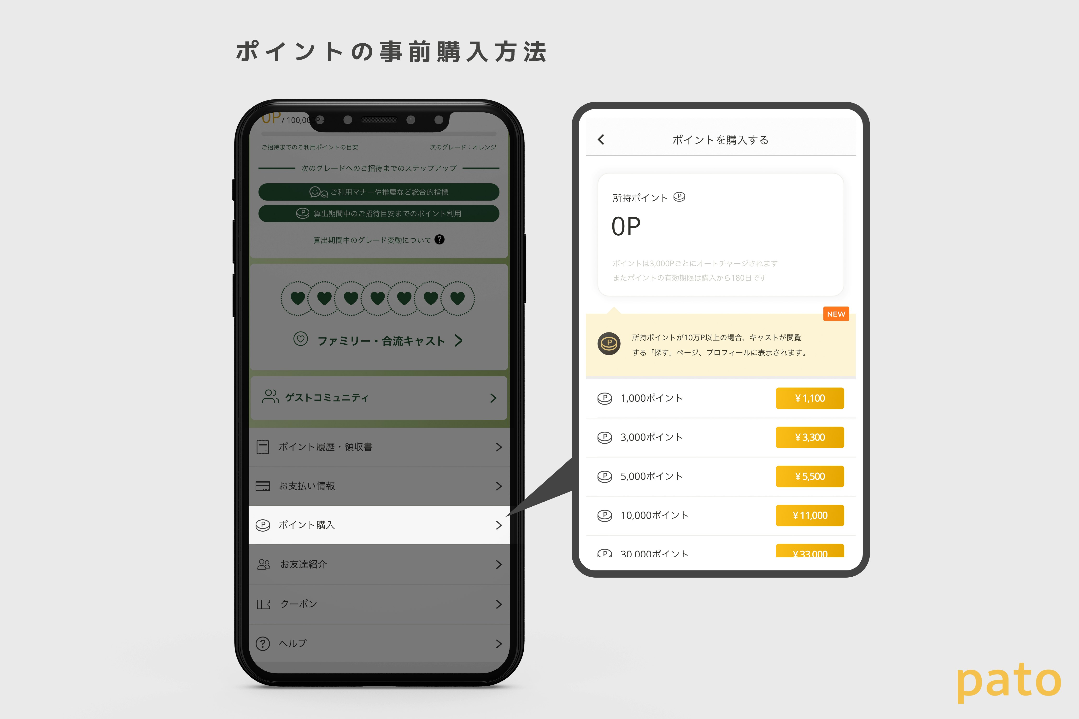 ポイントの事前購入方法