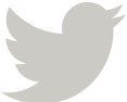 twitter icon