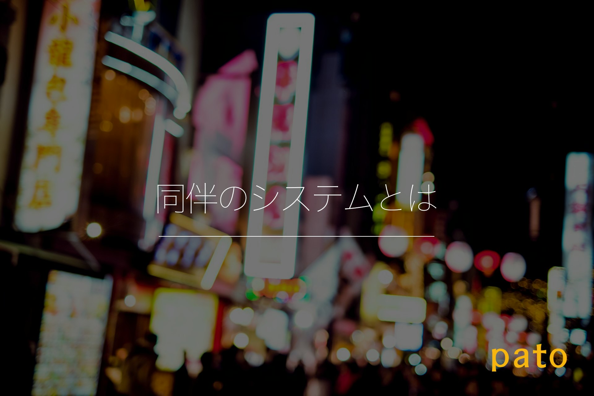 同伴システムとは