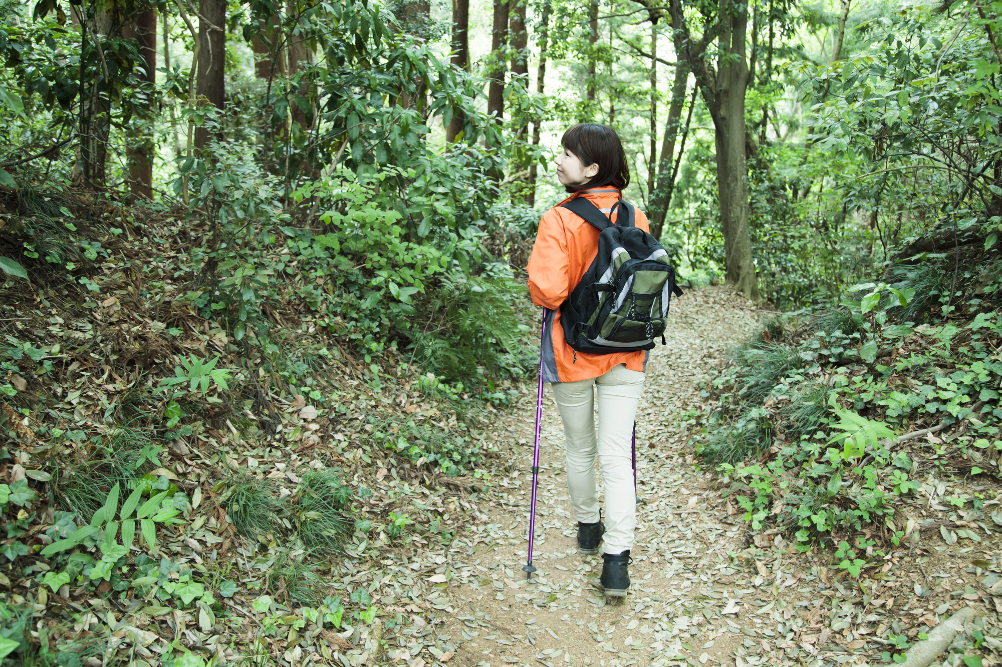 Mt. Kenashiyama Climbing/Hiking