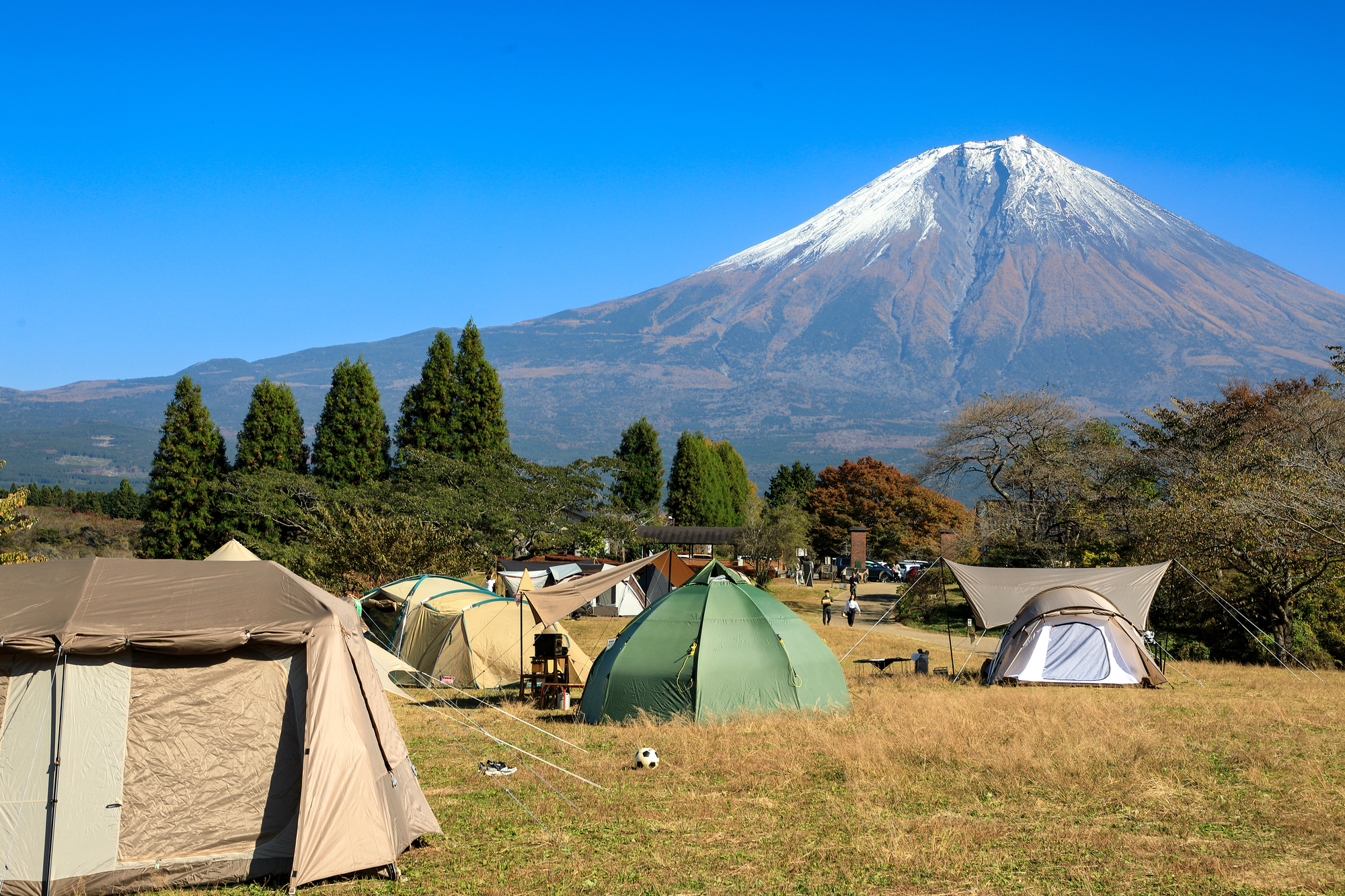 Enjoy camping