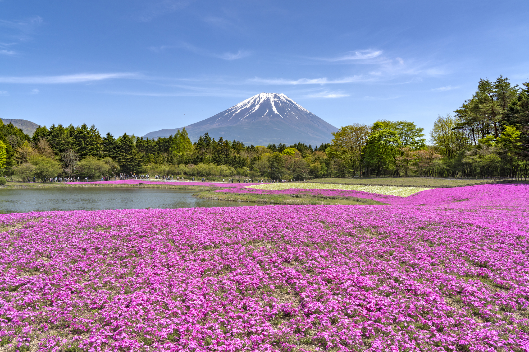 kouan-tent-season001 Image 3