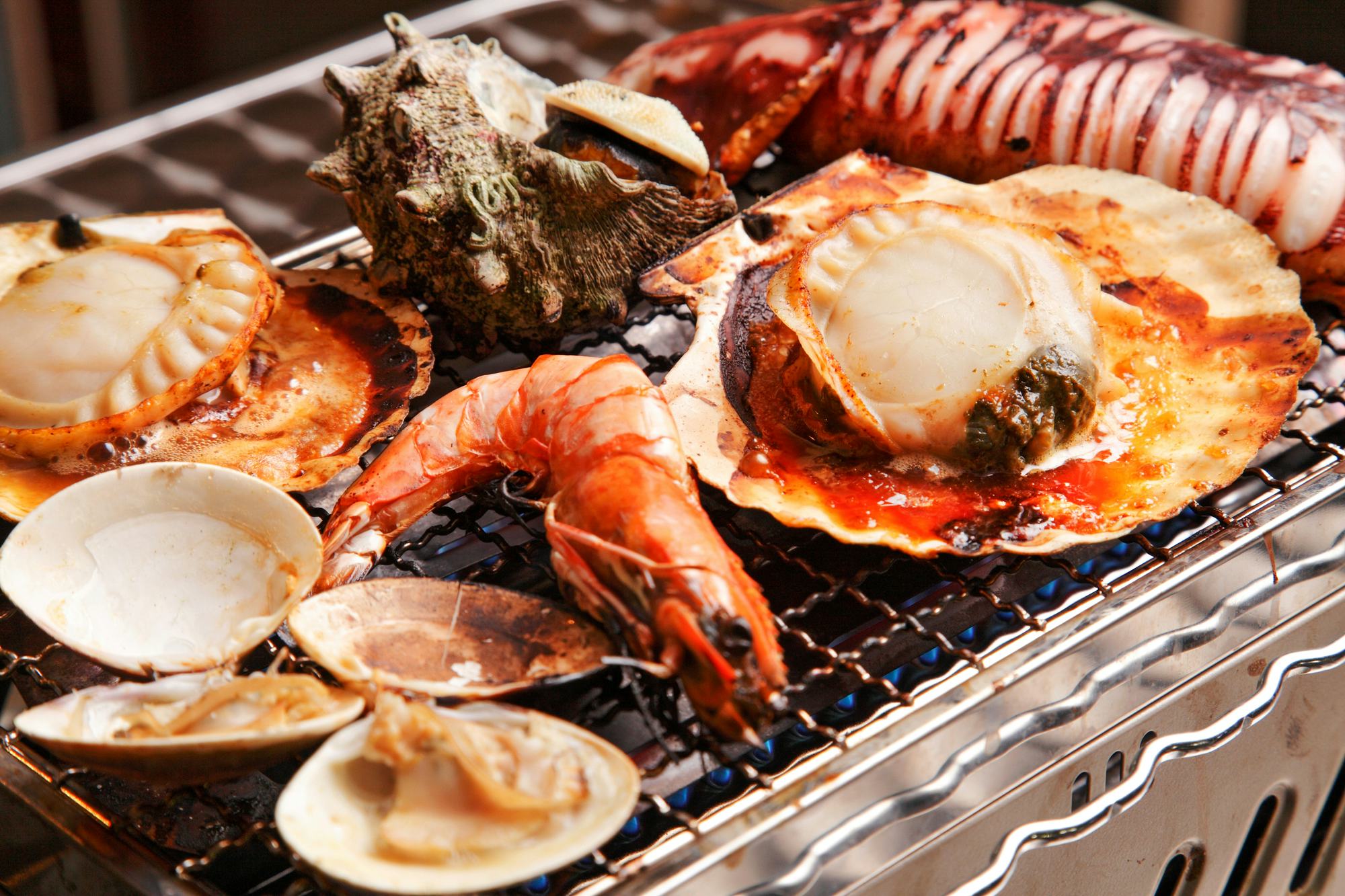 【東京出發，電車直達！】用在地海鮮享受奢華 BBQ！盡情體驗白天露營與豪華小屋住宿的樂趣