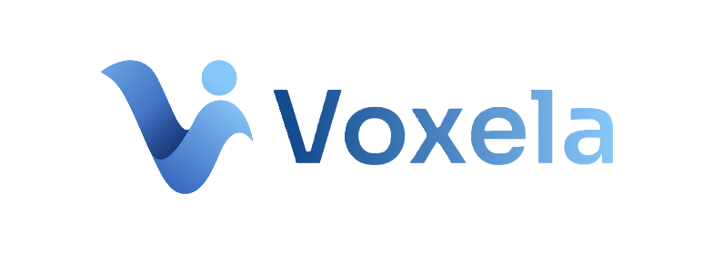 Voxela