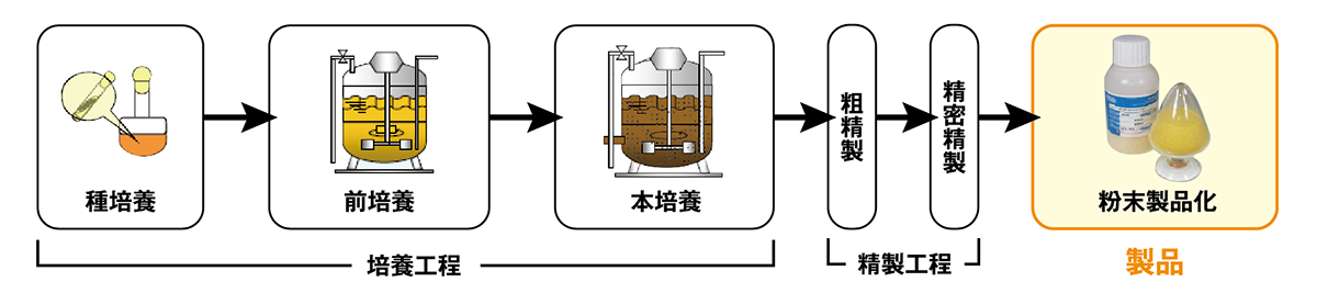 種培養 前培養 本培養 粗精製 精密精製 粉末製品化 培養工程 精製工程 製品