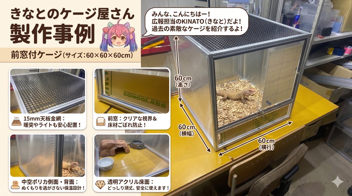 前窓付ケージ　60x60x60cmケージ紹介