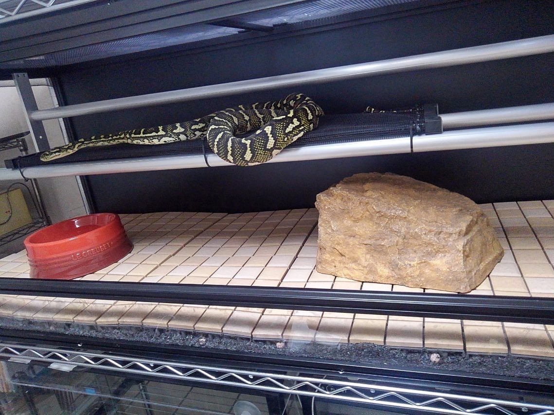TypeC　止まり木付きケージの画像