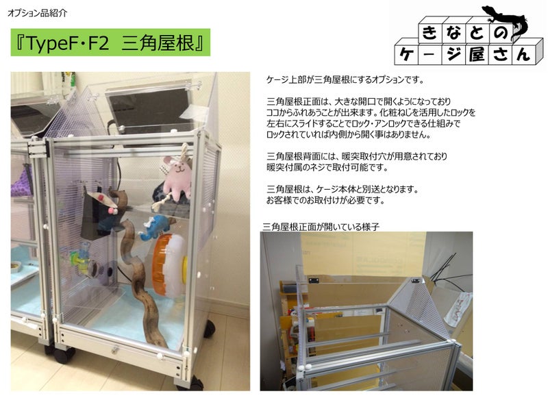 TypeF・F2三角屋根