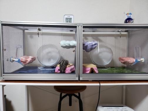 フクロモモンガ向け　スライド扉ケージTypeAFの画像