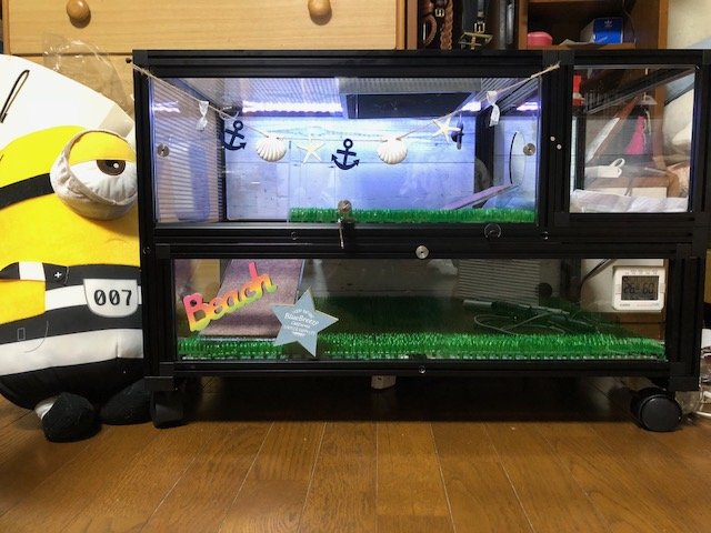 ハリネズミちゃん向け2階立てケージ　ブラックフレームの画像