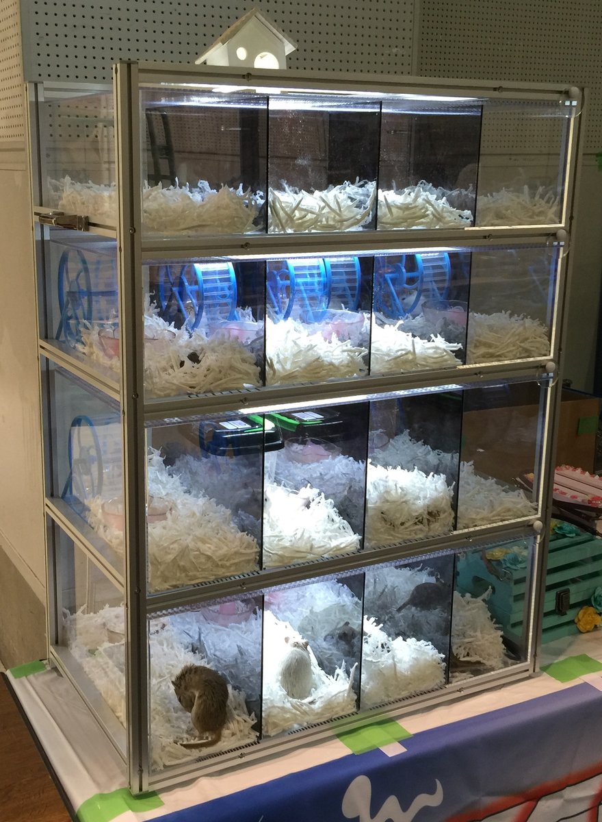 イベント販売向け　生体展示ラック