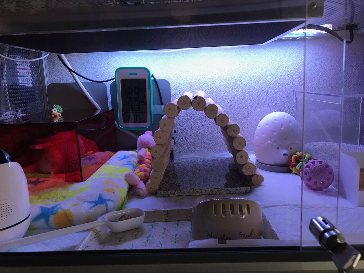 ハリネズミちゃん向けケージ　LED実装例の画像