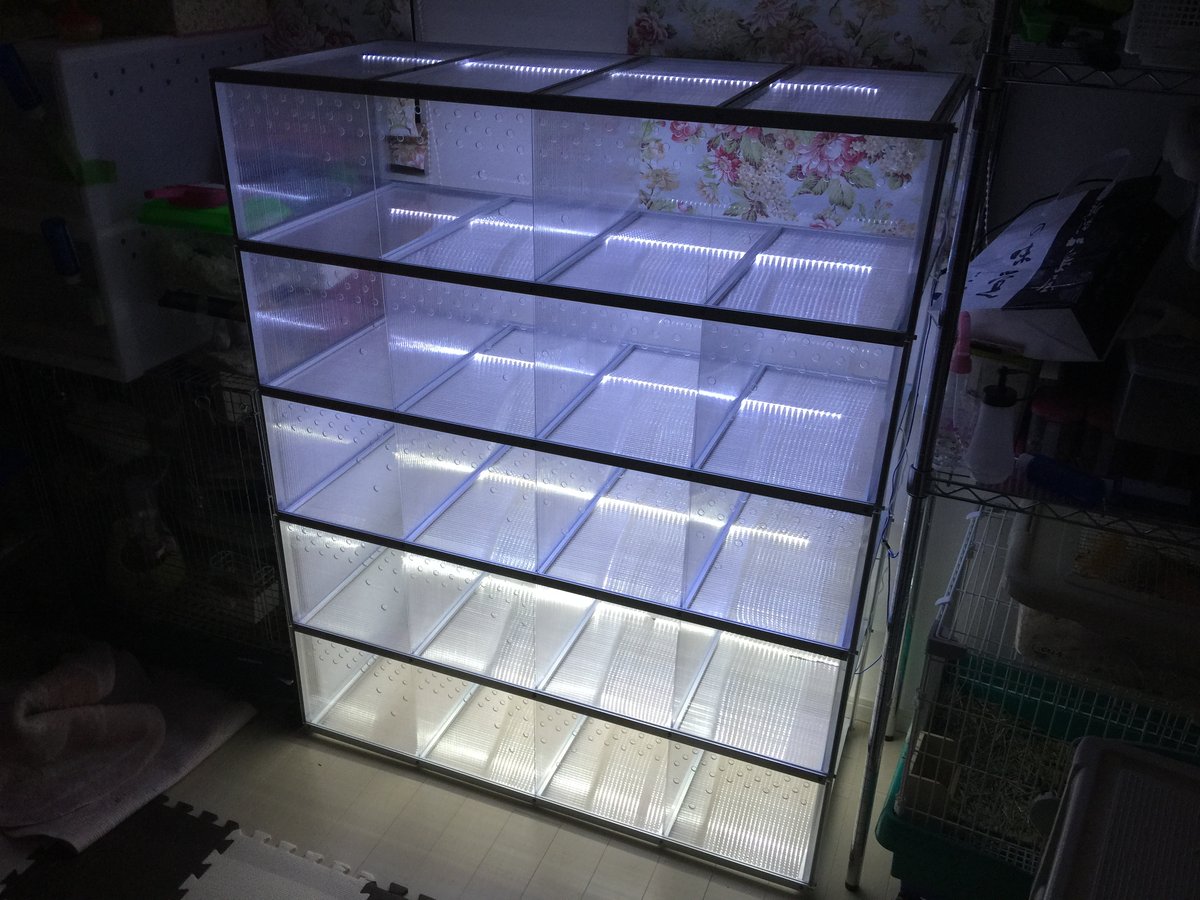 ヘビマンション　多頭展示ケージの画像