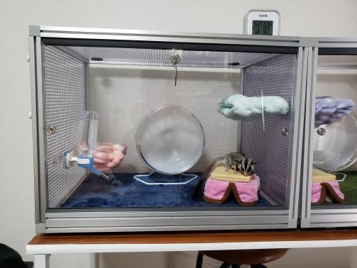 フクロモモンガ向け　スライド扉ケージTypeAFの画像