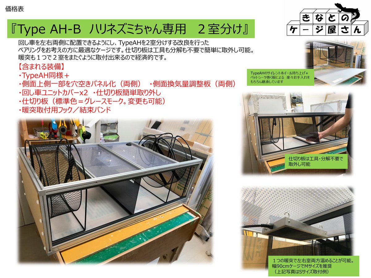 TypeAHの画像