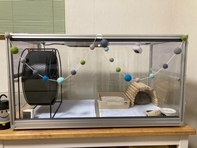 ハリネズミ向けTypeA