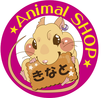 〇情報　お問い合わせテンプレートの画像