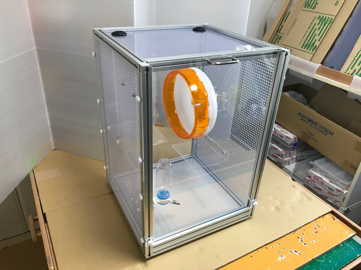 フクロモモンガ向け　引き出し無しのF2Mモデルの画像