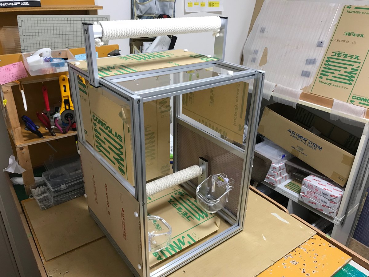 バードキャリーの画像