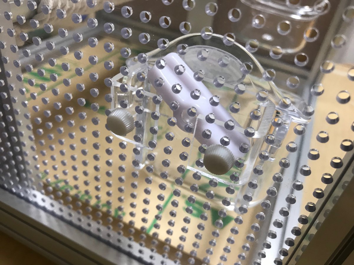バードキャリー　止まり木付きの画像