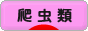 〇情報　【保温球について注意点】冬支度についての画像