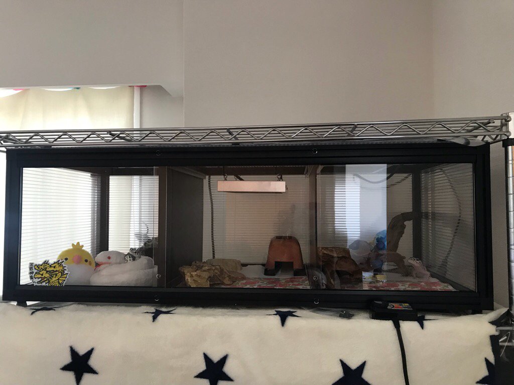 レオパ向け　3室分けケージ　の画像