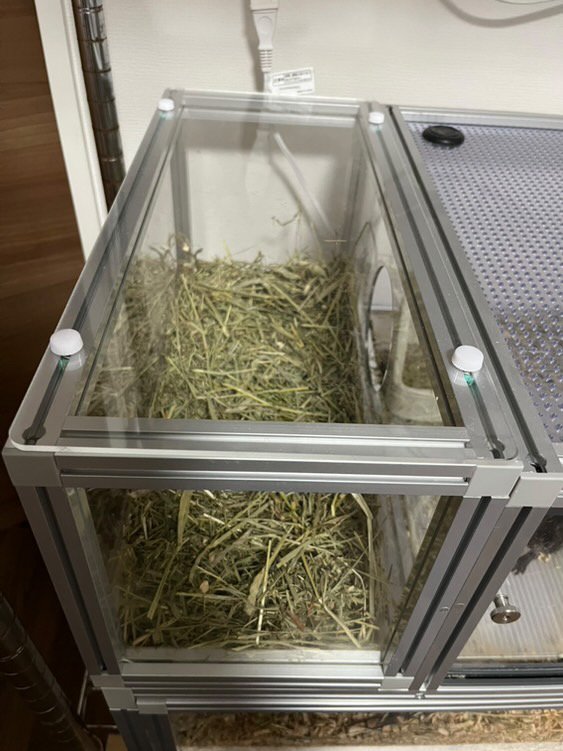 デグー用にハリネズミちゃん向け2階立てケージを改良した事例の画像