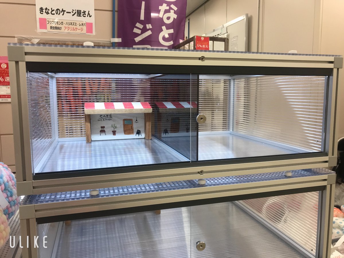 レオパ向け　2室分けケージの画像