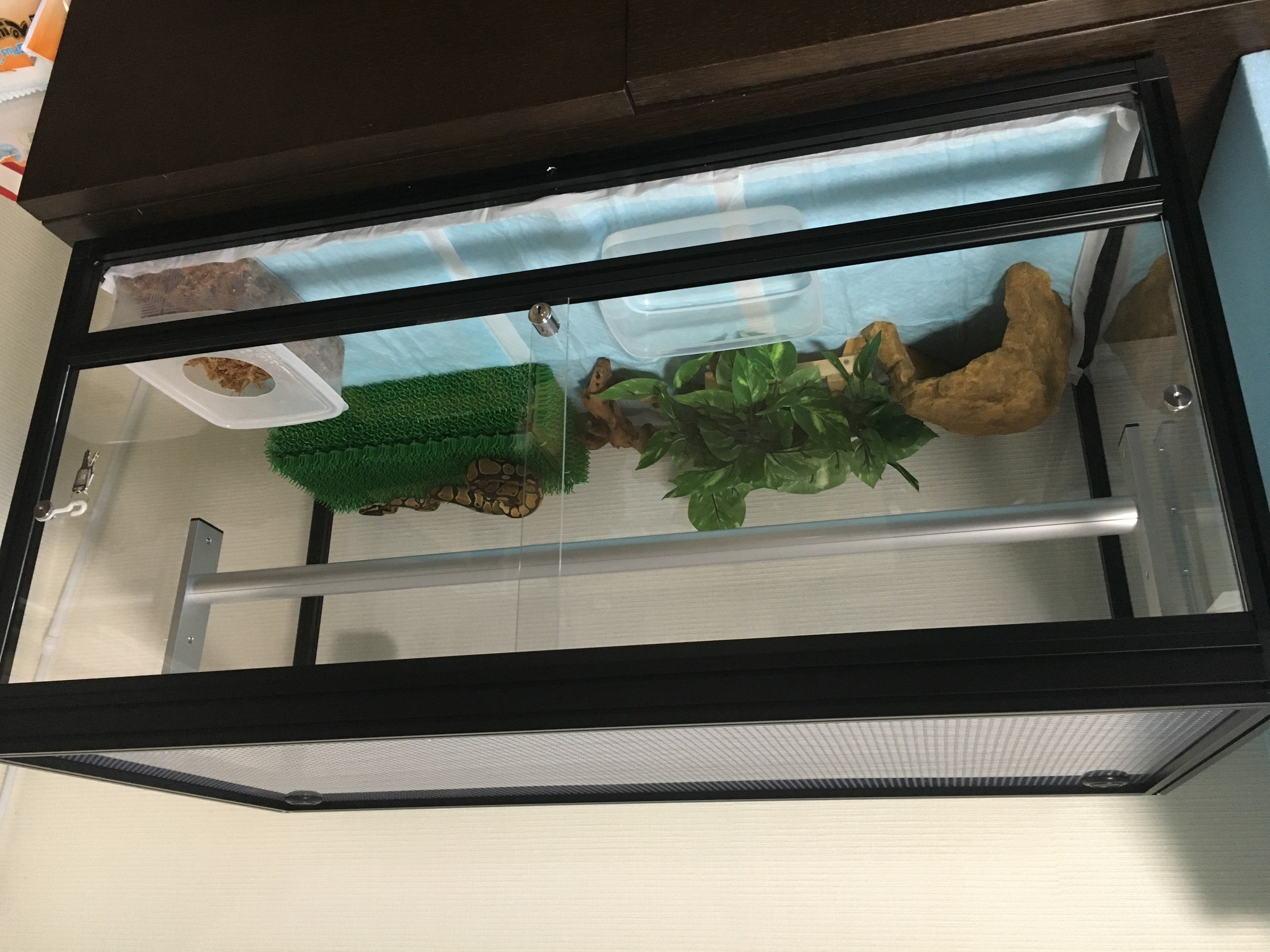 TypeC　前窓付スライド扉